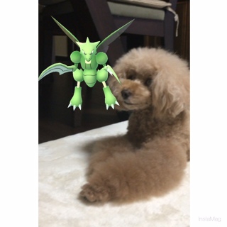 �����Ă���B