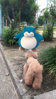 �����̂��U���B