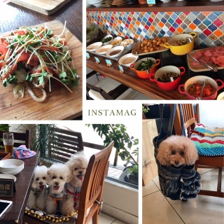 ���v���Ԃ��lunch