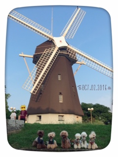 lunch����̒ߌ��Βn�B