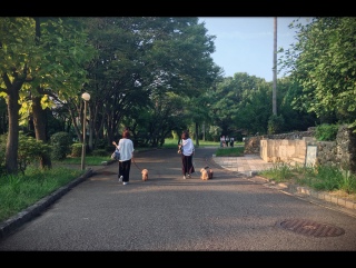 ���\���R�[�f^^;