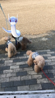 �ߌ��Βn�ŁB