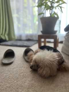 ߑOɖ炢ɁB