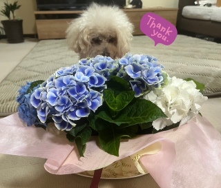Thanks!!