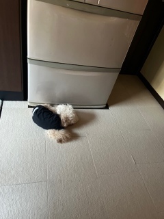ȂłȂƂŁB