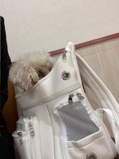 ܂ނ炳B