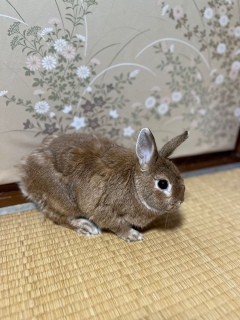 Ƃ