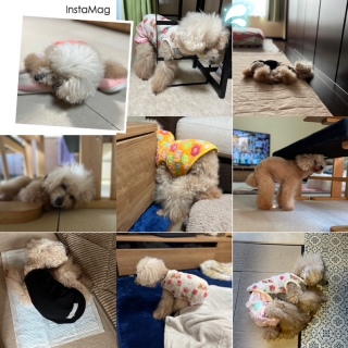 ����Ȃ̂��B