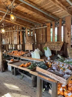 ����AM�݂ƁB