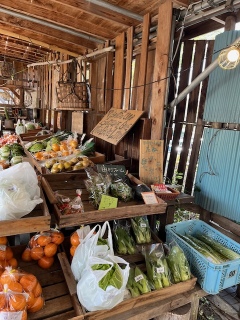 �{�����A