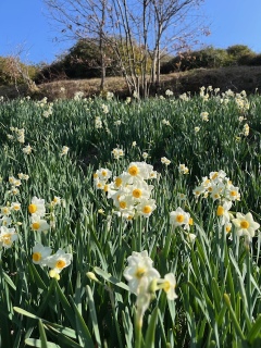 �݂��̂�������A