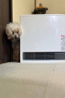 ���܂��Ă΂�����^^;