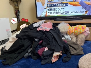 ������1���̐���