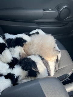 2/16���j��