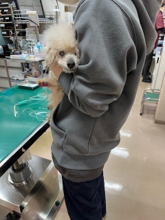 �����_�H4����