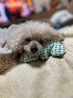 �H�~�o�Ă�����