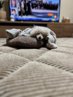 �X���X��