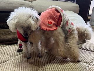 ����ŎB��Ȃ�