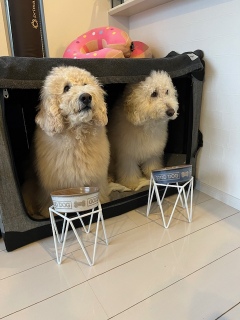 ���ז����܂���