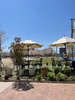 T����ƃ����`�エ������