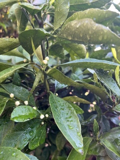 ���Ȃ����S���؂藎�Ƃ����Ƃ���B