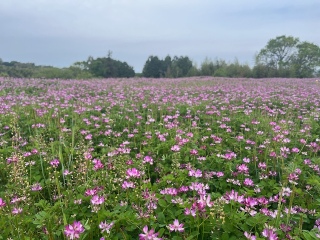 �����Q��