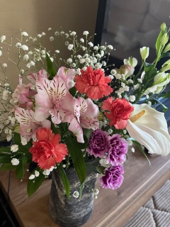 ��������ė�������