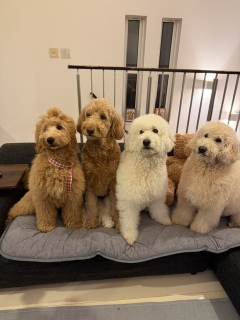 �V���肨��I�ډ�