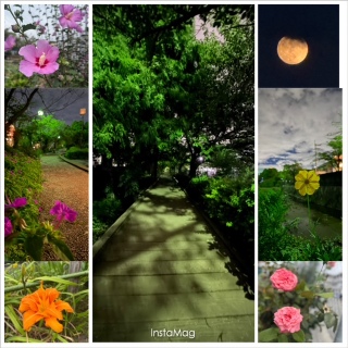 3�L���E�H�[�L���O