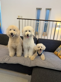 ���ז����܂��I